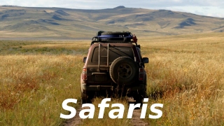 Safaris